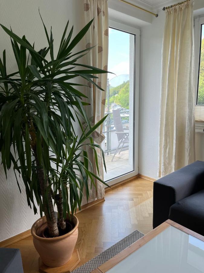 Appartement Bergpanorama - Willingen *
