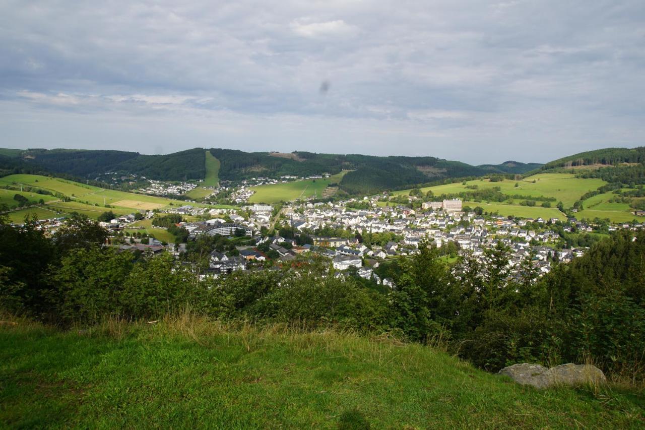 Bergpanorama - Willingen Appartement *
